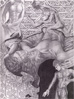Plate 11: Click for full-size image (185k) Harlequin Airs Plate 11 thumbnail