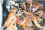 Plate 13: Click for full-size image (320k) Harlequin Airs Plate 13 thumbnail