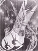 Plate 18: Click for full-size image (173k) Harlequin Airs Plate 18 thumbnail